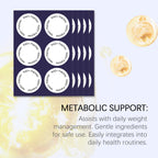 Liposomal Nad Patches Transdermal Absorption Enhance Cellular Energy Regulate Metabolism Weight Management Healthy Aging Patches
