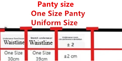BANERDANNI Pure Desire Victoria French Lace Embroidered Lingerie Women's Thin Cup Triangle Cup Bra Set Comfortable No Underwire