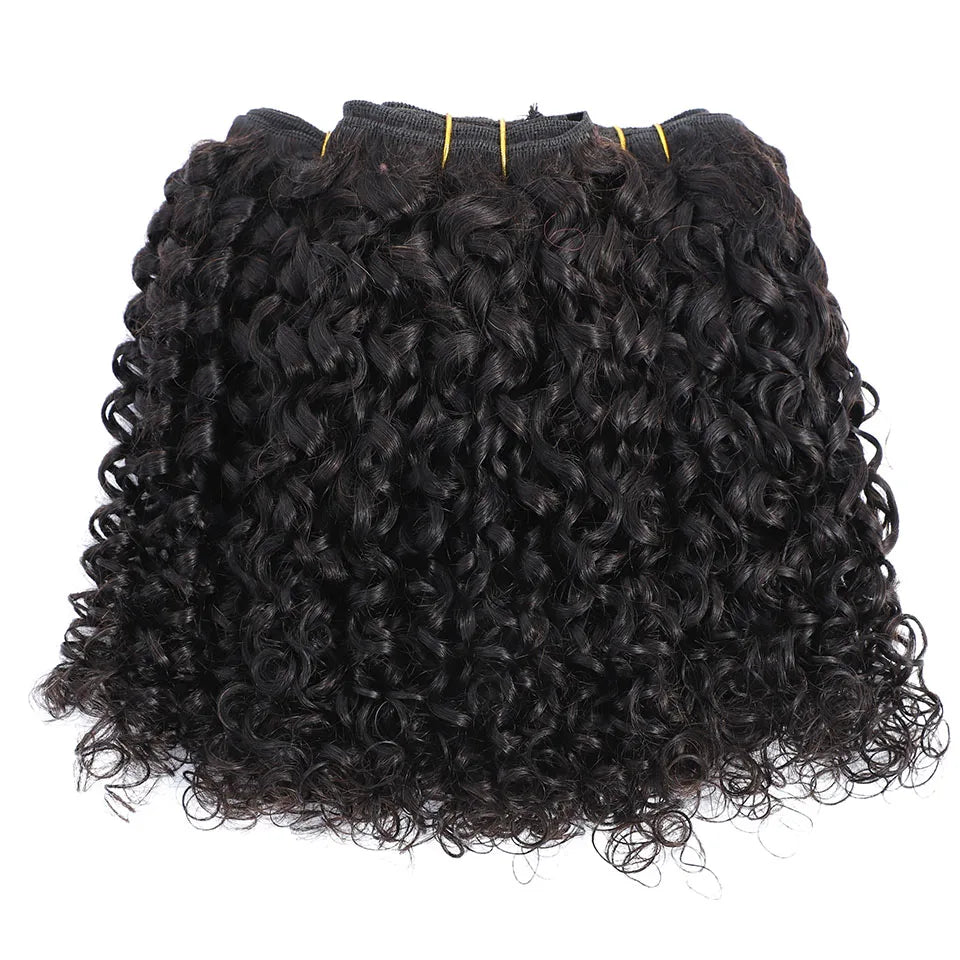 Pixie Curly Human Hair Weave Bundle With Closure Brazilian Human Hair Weave Extensions 100% Human Hair Weft HD Lace Closure