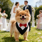 Sucado Bow Tie Dog Collar Tuxedo Bandana Adjustable Formal Puppy Triangle Neck Wear for Wedding Birthday Dress-up Cosplay Party
