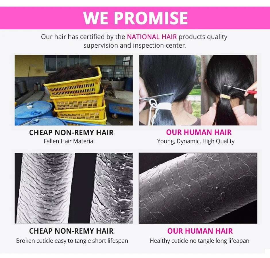 Pixie Curly Human Hair Weave Bundle With Closure Brazilian Human Hair Weave Extensions 100% Human Hair Weft HD Lace Closure