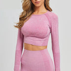 Long Sleeve Gym Crop Top Sports Yoga Top Women Seamless T-Shirts Fitness Crop Top Sport Active Wear Workout Athletic Shirts