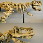 3145pcs 76968 Dinosaur Park Fossils Building Blocks Set Adults Assembled Bricks Model Toy Birthday Gifts Compatible With Set