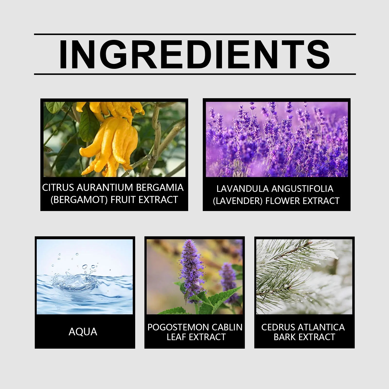 Roxelis Bergamot Perfume Classic Cologne Natural Fresh Hair Temperament Lasting Fragrance elegant Portable Perfume