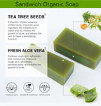 AILKE Aloe Vera Whitening Soap, Remove Acne, Spots, Skin Radiant, Improve Skin Luster, Vegan Bath Wash for All Skin Types, 200g