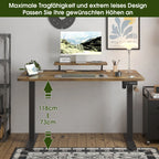 Devoko Height Adjustable desk Electric 120 × 60cm with Monitor Stand Ergonomic Seat Standing Desk (White)
