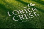 3pcs【LORIEN CREST】Men's Pure Cotton Low Waist Elastic Sexy Loose Breathable Youth Pant Headband Underwear Summer Cotton Briefs